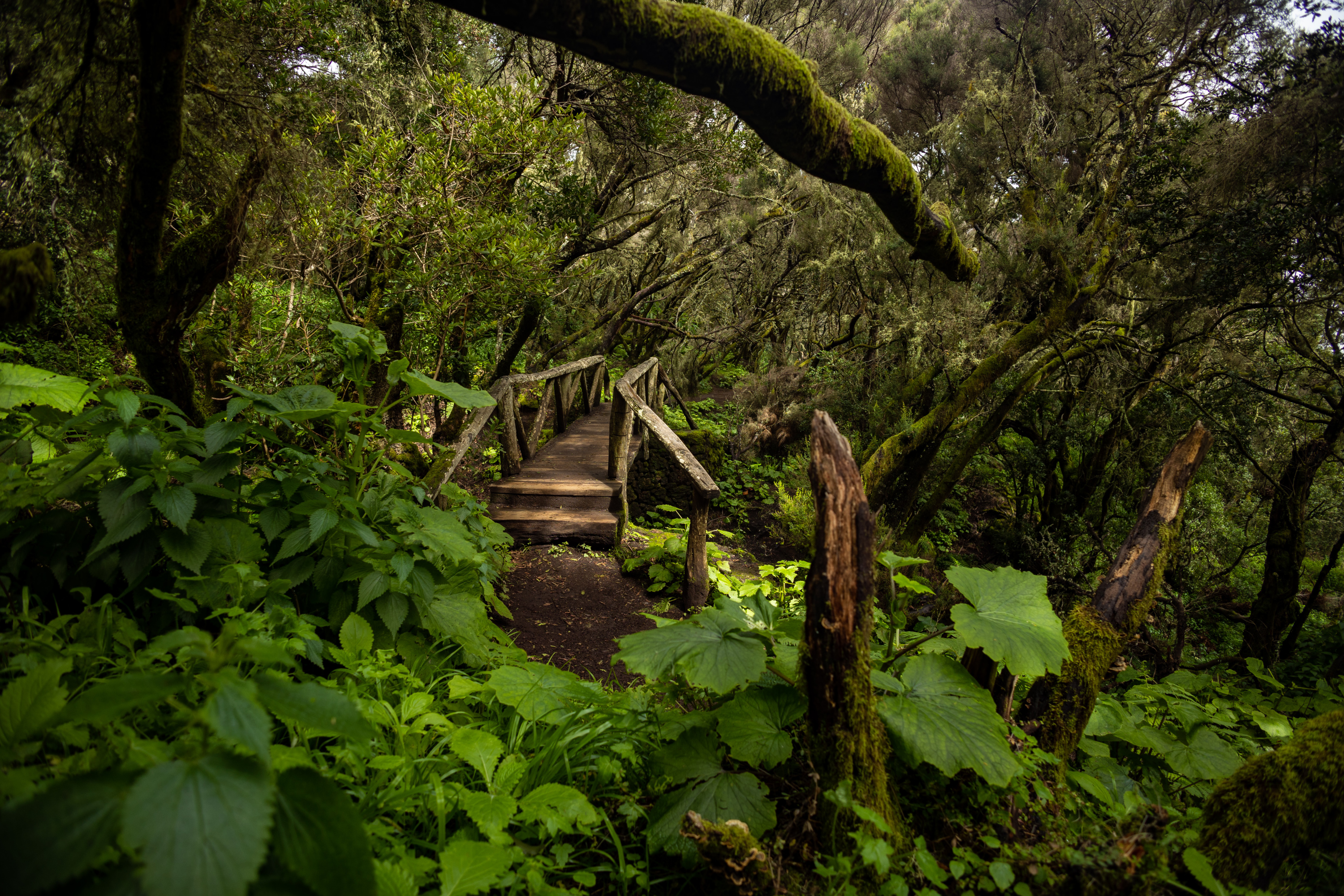 El Hierro