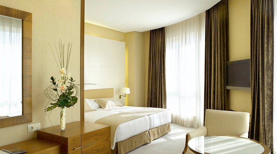 Hotel Sercotel Sorolla Palace