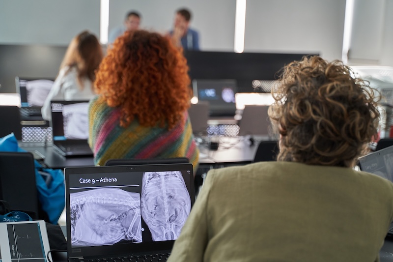 Taller interactivo de interpretaci&oacute;n radiogr&aacute;fica y ecogr&aacute;fica de patolog&iacute;as abdominales